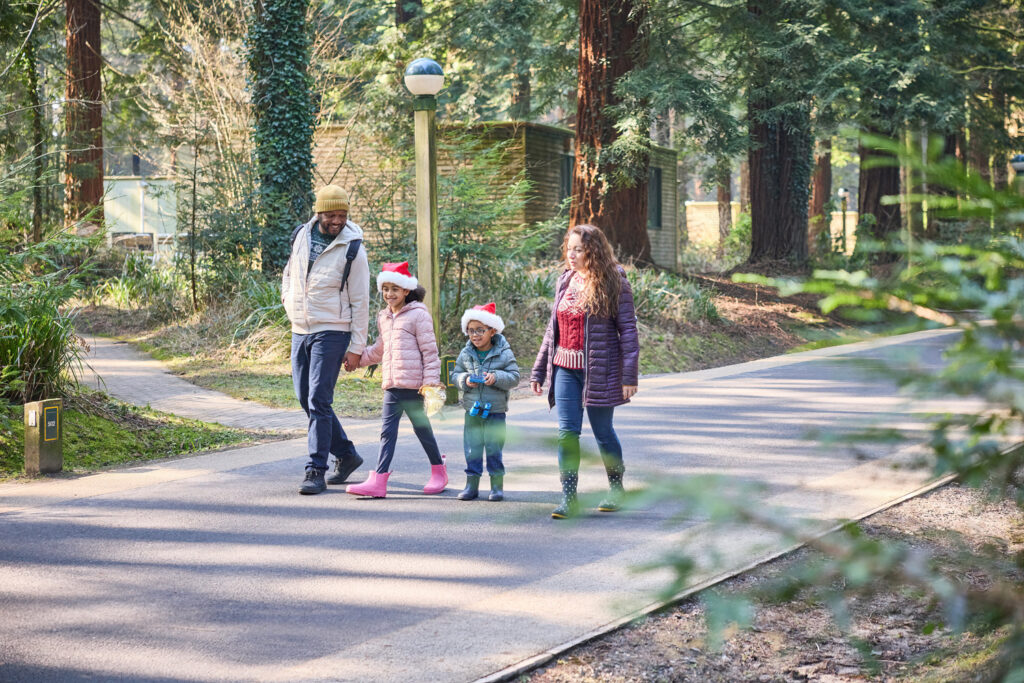 Center Parcs Christmas Campaign 2025 - Commercial Photography Studio in Mansfield - f22 Studios