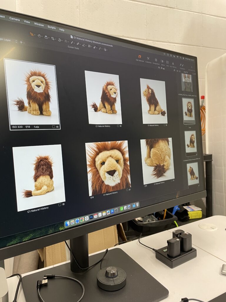 Natural History Museum - Commercial Photography Studio in Mansfield - f22 Studios